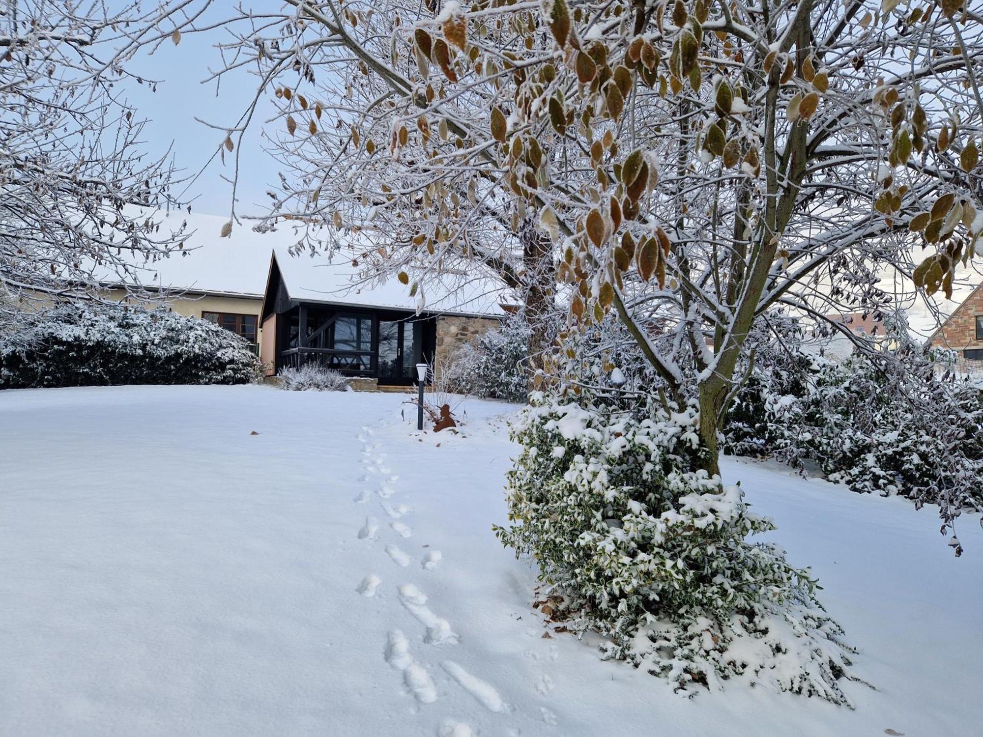 Le Breit Maison De Charme Avec Sa Dependance Breitenbach Eksteriør billede