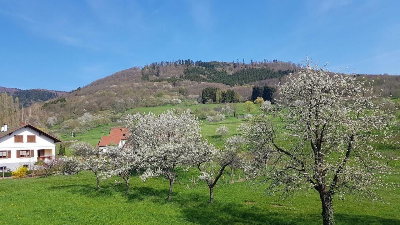 Le Breit Maison De Charme Avec Sa Dependance Breitenbach Eksteriør billede