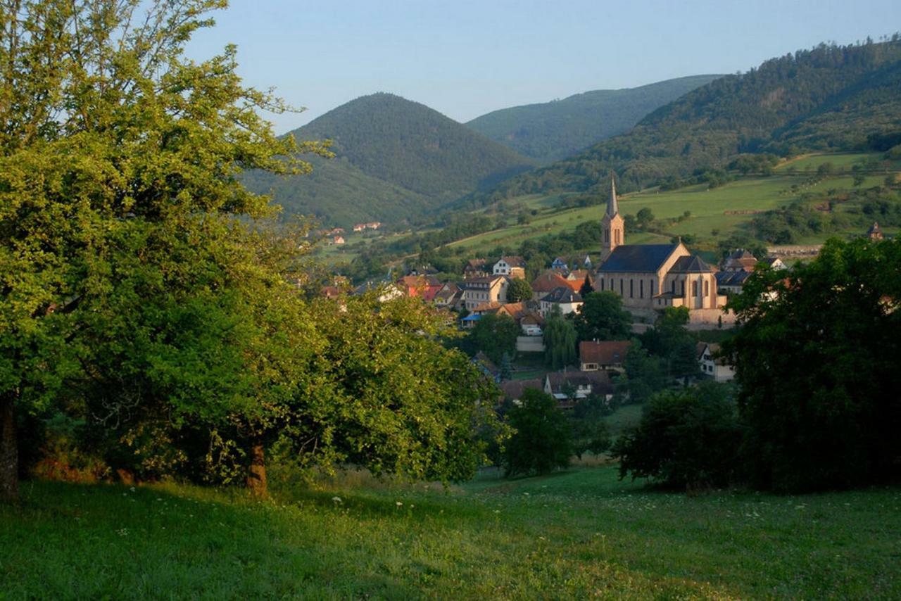 Le Breit Maison De Charme Avec Sa Dependance Breitenbach Eksteriør billede